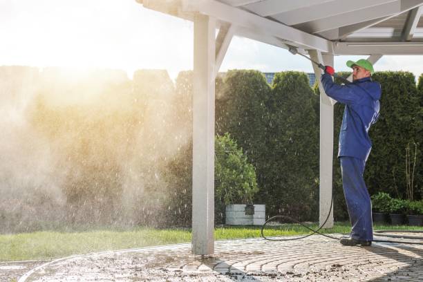 Best Roof Washing  in Kulpmont, PA